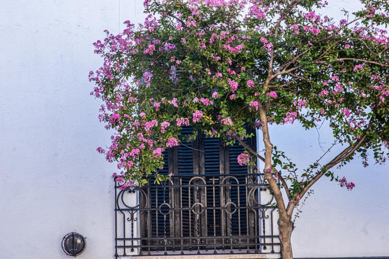 Hostel El Puesto San Antonio de Areco Exteriér fotografie